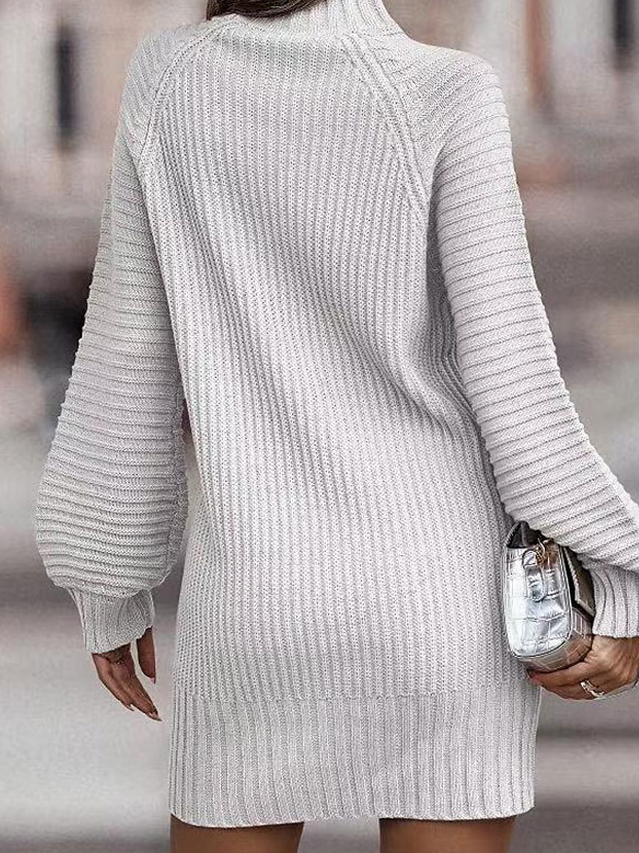 Women's Sweater Dress Winter Dress Jumper Dress Mini Dress Ribbed Daily Date Vacation Active Fashion Turtleneck Long Sleeve